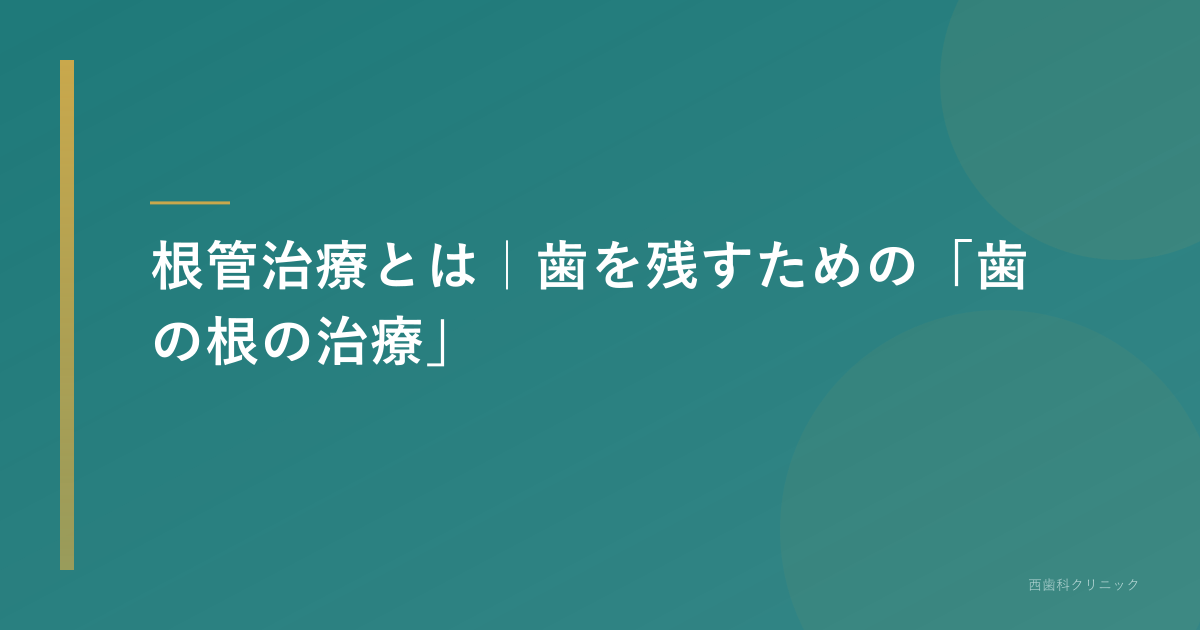根管治療とは|歯を残すための「歯の根の治療」